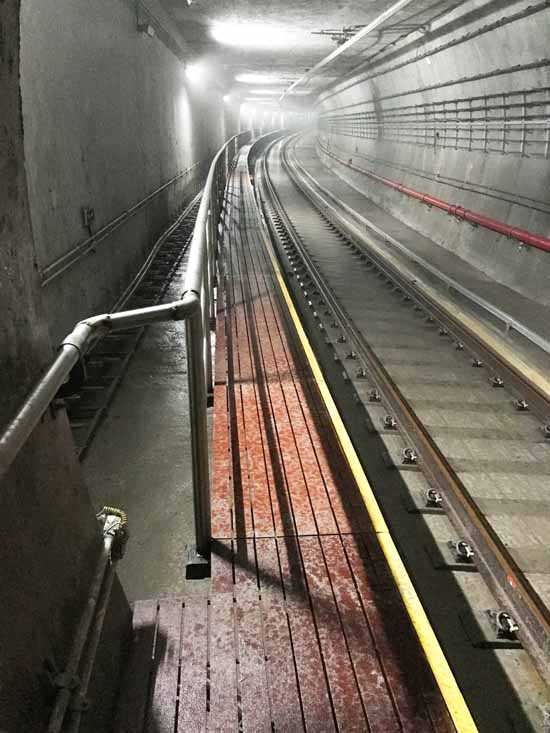ת������ϵ�б�·֮�ߣ��������ӡ��Ʋ�˼ӵ����������ʵ������MG������Ե���ı���